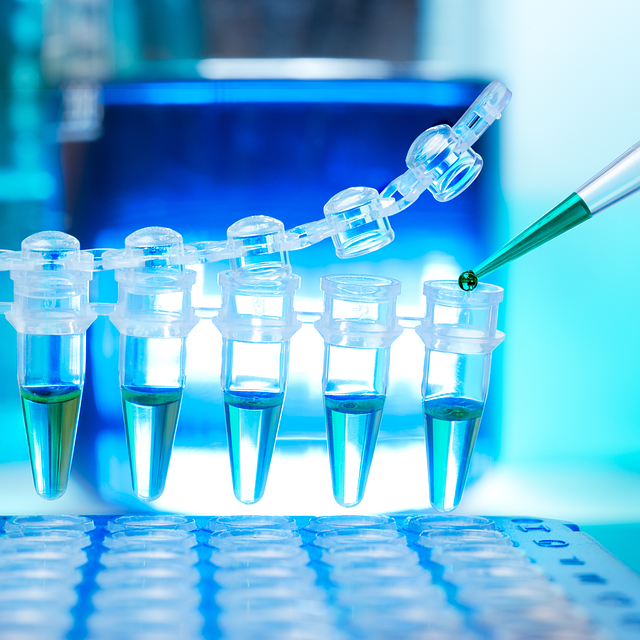 高效聚氨酯軟泡催化劑，確保泡沫快速固化，具有高回彈和優異的機械性能