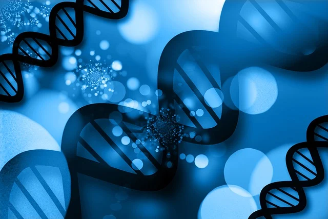 一種多功能胺類催化劑kc101，可與多種催化劑協同，調節反應速度